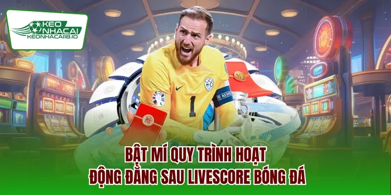 Bật mí quy trình hoạt động đằng sau Livescore bóng đá